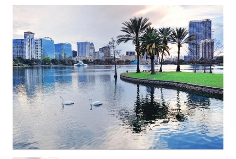 College Park-Orlando 5Star Villa Oasis - Home Away From Home - Quiet Neighborhood-Private Botanical Courtyard - Mins From Eola,Dt, Winter Park - Free Parking & Ev Plug In 외부 사진